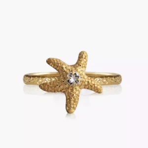 Caroline swedbom ring - Använt fåtal gånger, nypris 395kr!!!💞