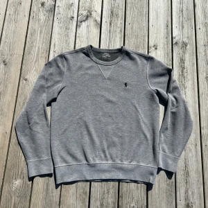Ralph Lauren tröja - Inga fläckar eller hål använd några gånger 