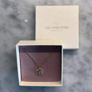Guldigt halsband från Lily and Rose - Superfint halsband från Lily and Rose med tunn guldfärgad kedja och rund hängande berlock. Skickas i originalförpackning 🤍