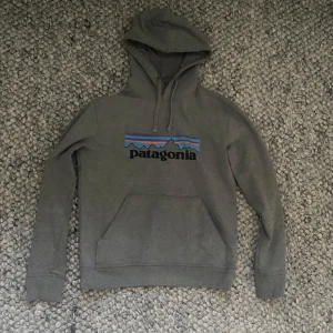 Grå Patagonia hoodie med logga - Säljer en grå hoodie från Patagonia i storlek S. Tröjan har klassisk huva med snörning, stor magficka och tryckt Patagonia-logga med bergmotiv i blått, svart och lila på bröstet. Tillverkad i mjuk bomullsblandning, perfekt för chill dagar.