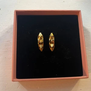 Guldiga nitörhängen från Edblad! - Säljer mina guldiga Edblad örhängen då dem inte längre kommer till användning. Fint skick utan defekter. Kommer med lådan och lappen som man får med när man köper dem. 