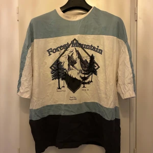 T-shirt med Forest Mountain-tryck - T-shirt med breda blockränder i ljusblått, vitt och mörkgrått. Rund halsringning och oversized  passform. Perfekt för en avslappnad stil.