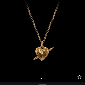 Maria Nilsdotter halsband - Säljer mitt Maria Nilsdotter halsband, Tuvstarr's heart. Köpt på deras hemsida. Nypris 3695kr, säljer för 2000kr. Skriv privat för egna bilder.