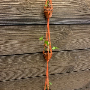 Orange ampel /växthängare  i miniformat med plats för fyra små krukor. - En unik och kreativ ampel / växthängare i miniformat, designad som en rad små lerkrukor upphängda i orange snöre. Perfekt för dig som vill sticka ut med en inrednings detalj som är  en hängande växtdekoration.