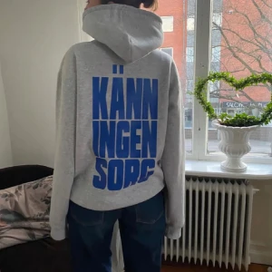 Grå hoodie Känn Ingen Sorg - Jätte söt grå hoodie med Håkan citat💕💕 Storleken är i dam M och köpt från momentu clothing som jag tror är slutsåld, hittar den iallafall inte nån stans 💕💕Den är endast testad, då jag bytte till annan storlek. Oversized fit för en avslappnad look.