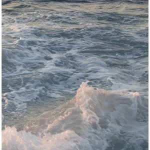 Arkivfoto  - Går ej att köpa