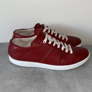 Saint Laurent skor - Skit snygga saint Laurent skor. Dom är i mycket bra skick. Sulan har bara slitits lite men inget man tänker på. Dessa är i modellen SL/03 som inte säljs längre därför väldigt unika. Vårat pris endast 999 priset kan alltid diskuteras 🙌🏻41 passar 42