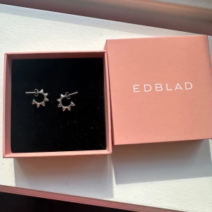 RESERVERADE! - supersöta edblad örhängen, dom är i den mindre storleken och supersöta💞knappt använda🫶🏼(box ingår ej)