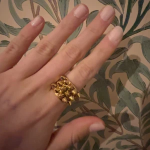 Edblad ring  - Jättesnygga och unik Edblad ring, har inte använt men jättesnygg om man vill lägga till den där extra detaljen till er outfit 🤗