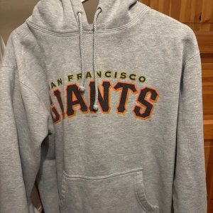 Vintage College Hoodie - En snygg och skön Hoodie , storlek M