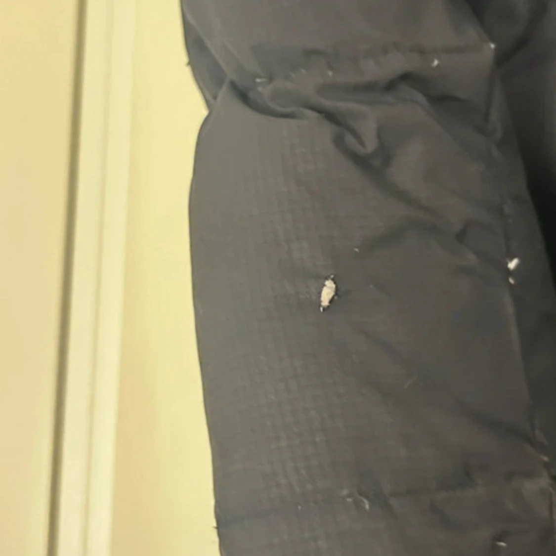 Svart pufferjacka från Sail racing - 2