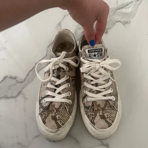 Snakeskin Converse - Använda en gång! 