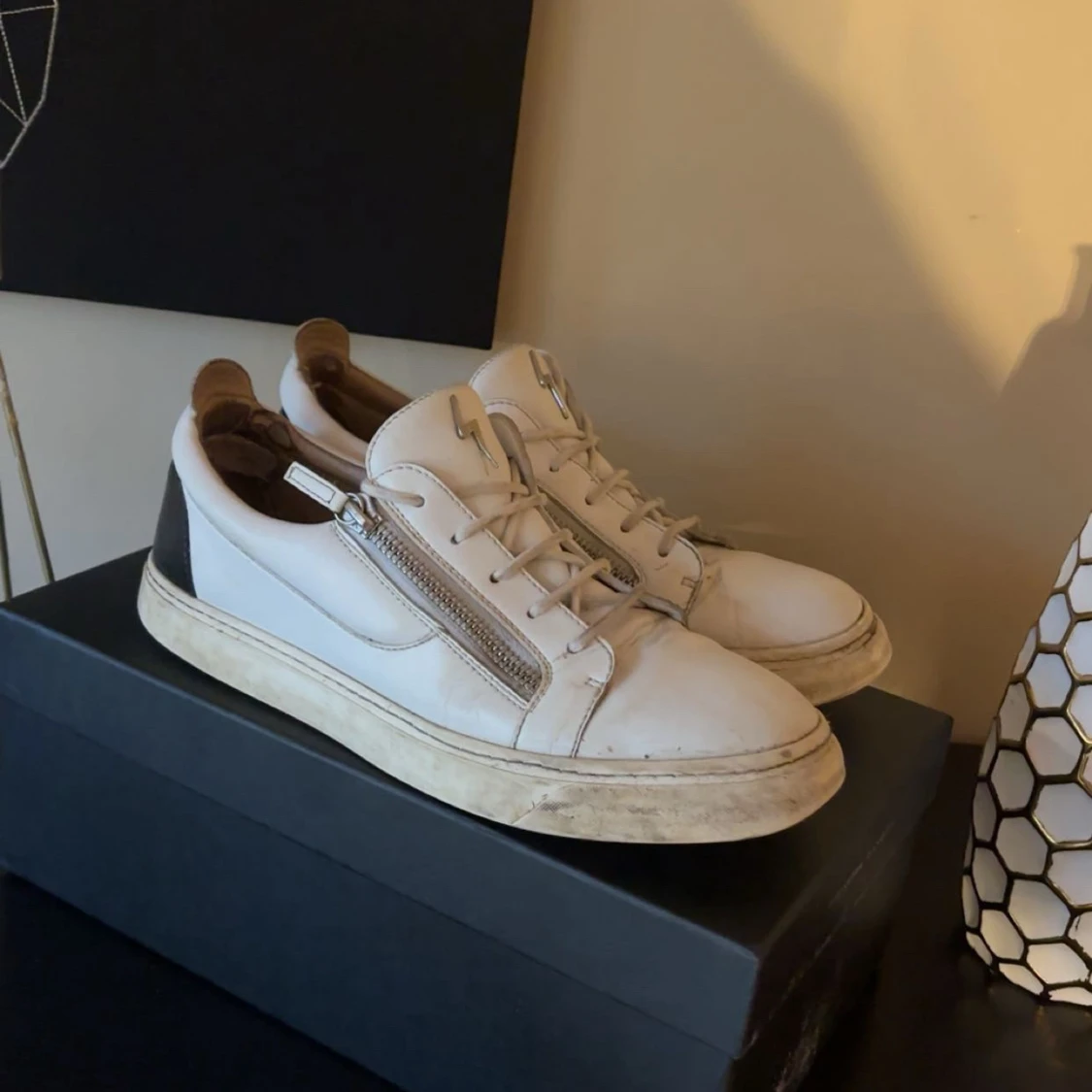 Giuseppe zanotti skor