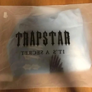 Trapstar blå vindjacka med örntryck - Snygg ljusblå vindjacka från Trapstar med stort broderat Trapstar-tryck på ryggen och coolt örntryck framtill. Jackan har huva med snörning, dragkedja och elastiska muddar. Perfekt för dig som vill sticka ut med streetwear-vibe.