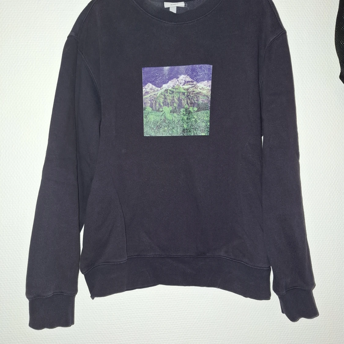Svart sweatshirt H&M med bergstryck