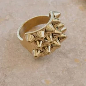 Guldig ring med nitar Edblad  - Cool Edblad ring i guldton med flera spetsiga nitar❤️