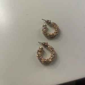 Guld örhängen  - helt nya och har inte varit använda!!