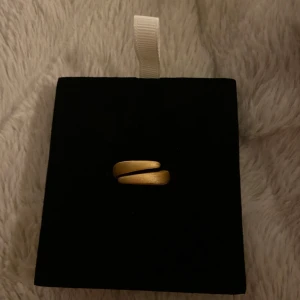 Guldig minimalistisk ring - Snygg och stilren ring i guldton som är justerbar i storlek. Ringen har en matt finish och passar perfekt för dig som gillar enkla men trendiga accessoarer. Perfekt att bära ensam eller att kombinera med andra ringar för en personlig look. Har aldrig använt då det inte är min stil. 