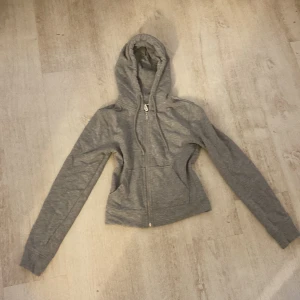 Grå hoodie från H&M Divided - Säljer en grå hoodie från H&M Divided. Den har en dragkedja framtill och en praktisk huva. Perfekt för en avslappnad stil. Sitter taigt i midjan 