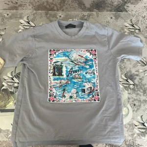 Grå t-shirt med tryck från Amiri - Säljer en snygg grå Amiri T-shirt i toppskick! Endast använd 3 gånger och sedan förvarad i garderoben. 