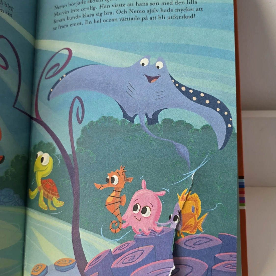 Hitta Nemo - 3