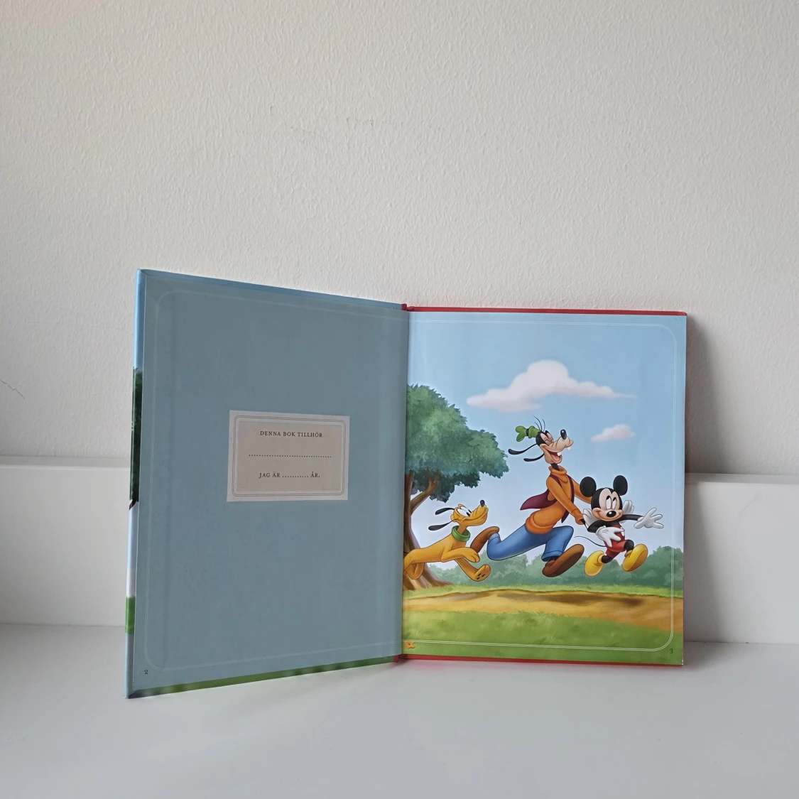 Musses födelsedag - 1