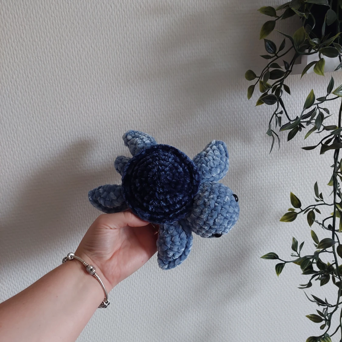 Virkad sköldpadda  - 1