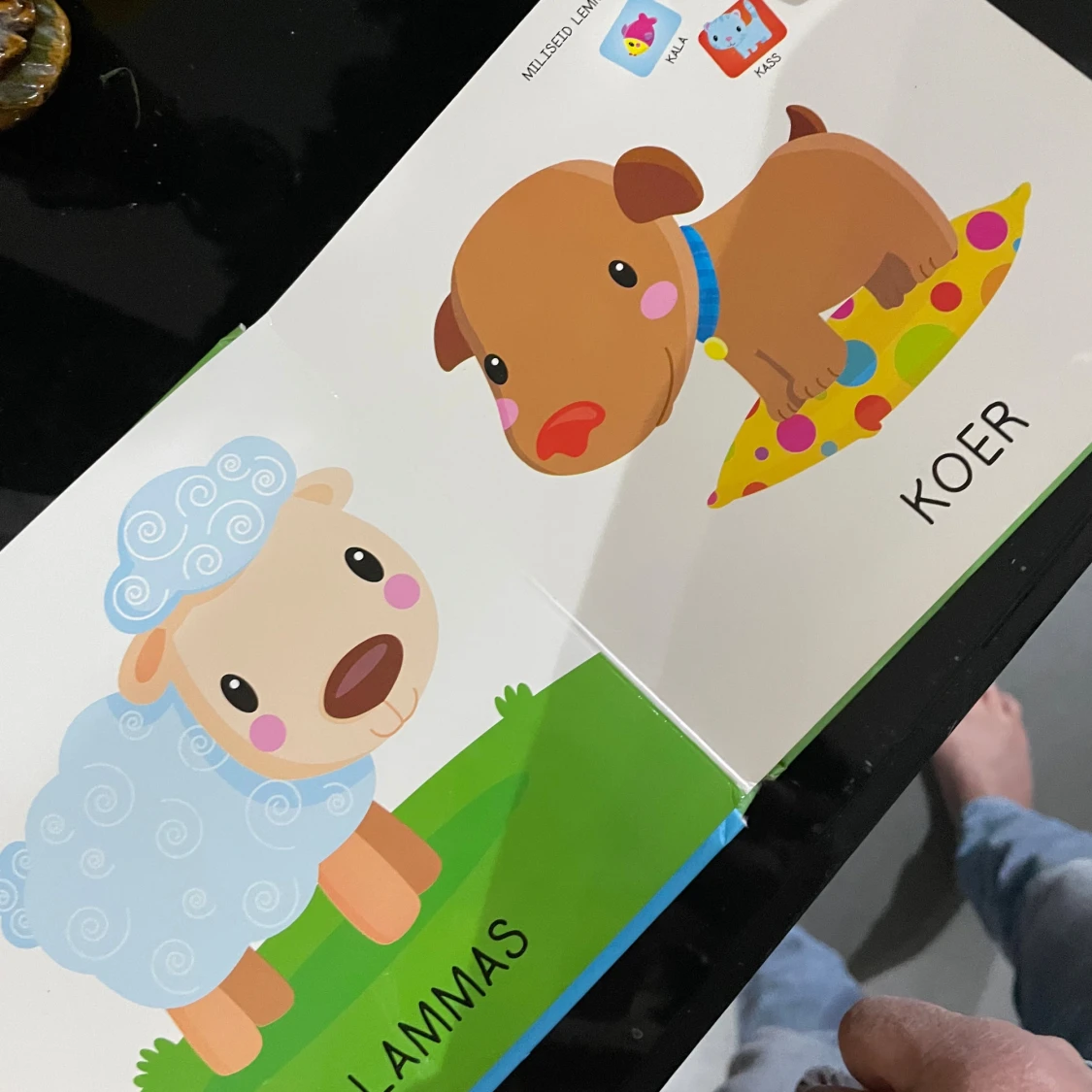 Mis loomad need on? - 3