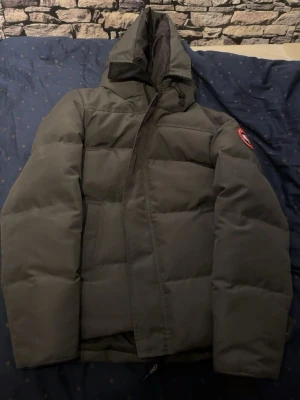 Svart dunjacka från Canada Goose - Säljer en svart, quiltad dunjacka från Canada Goose med huva och klassisk logga på ärmen. Jackan har dragkedja framtill och en riktigt puffig look som håller dig varm under kalla dagar. Perfekt för dig som vill ha både stil och funktion.
