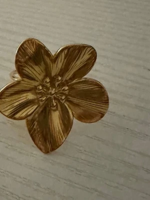 Rostfria  - Justerbar 