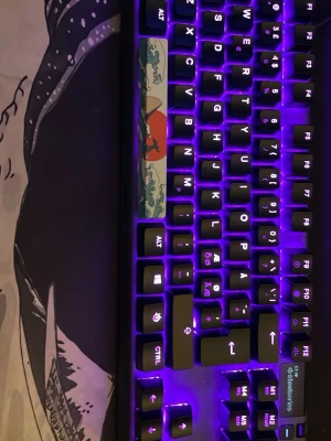 APEX 7 TKL tangentbord säljs billigt - apex 7 tangentbord med oled skärm. Funksr helt perfekt förutom att B tangenten är lite seg men resten är bra. Tangentbordet skickas tyvärr väldigt dammigt men i original boxen utan armstöd