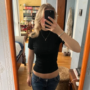 Svart  topp - Säljer en svart ribbad  topp med korta ärmar och hög hals. Toppen har en tight passform och är tillverkad i ett stretchigt material som sitter snyggt på kroppen. Perfekt att styla med jeans eller kjol för en trendig look.