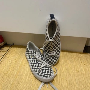 Svartvita rutiga sneakers med snörning - Säljer ett par klassiska svartvita sneakers med rutigt mönster och vita snören. Skorna har låg profil och platt sula, samt små blommor som detalj på sidan. Perfekta för dig som gillar streetstyle och vill sticka ut lite extra.