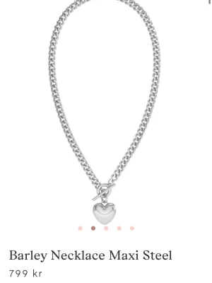 Edblad halsband  - Halsband med tjock form och super fin stål! Nypris 800kr mitt pris 600! Då de är nytt