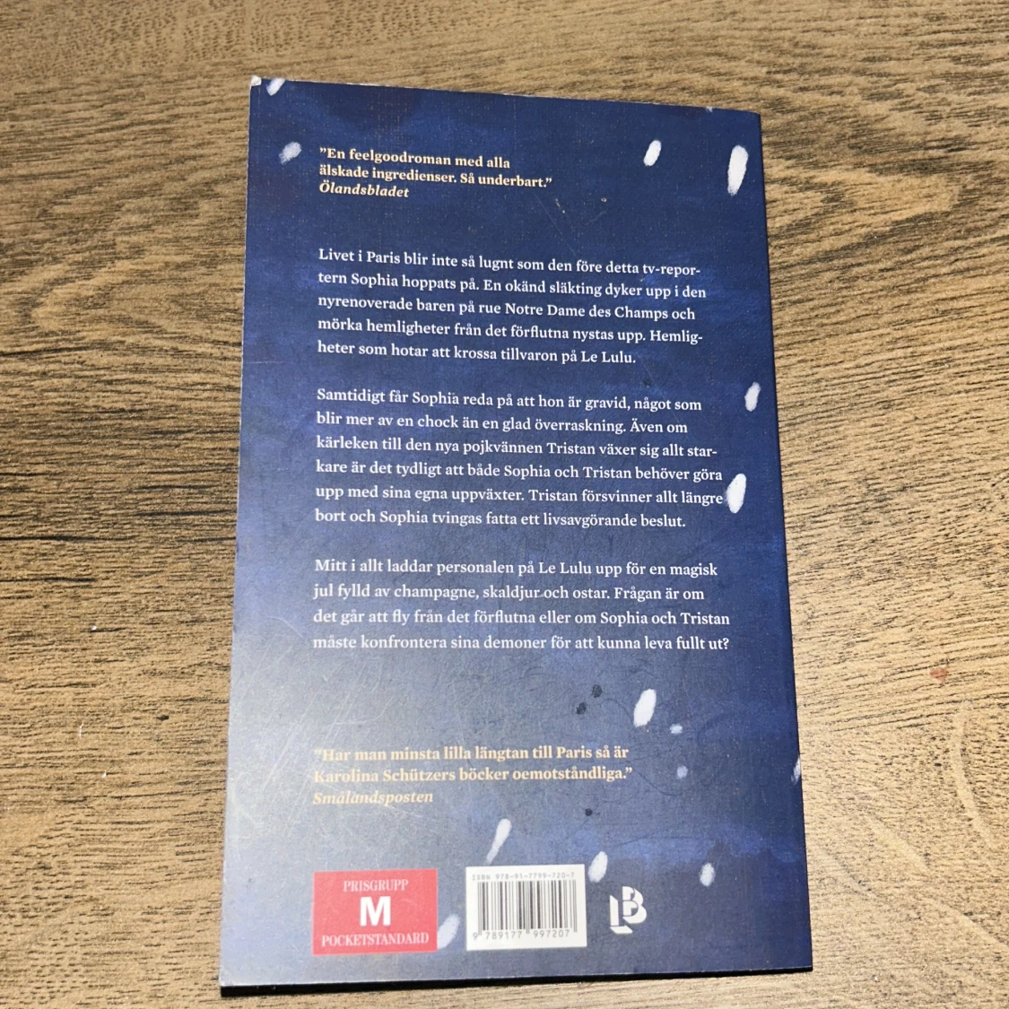 Snöfall över Paris - 1