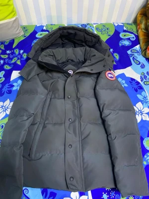 Grå wyndham Canada goose röd label - En riktig stabil grå Canada goose med röd label. Priset kan diskuteras riktigt varm. Kommer med original påse. Har fått en ny jacka använder inte den här 