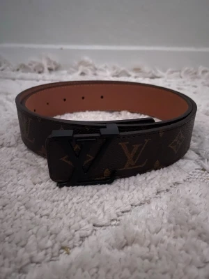 Lvbälte  - Brunt och svart bälte 