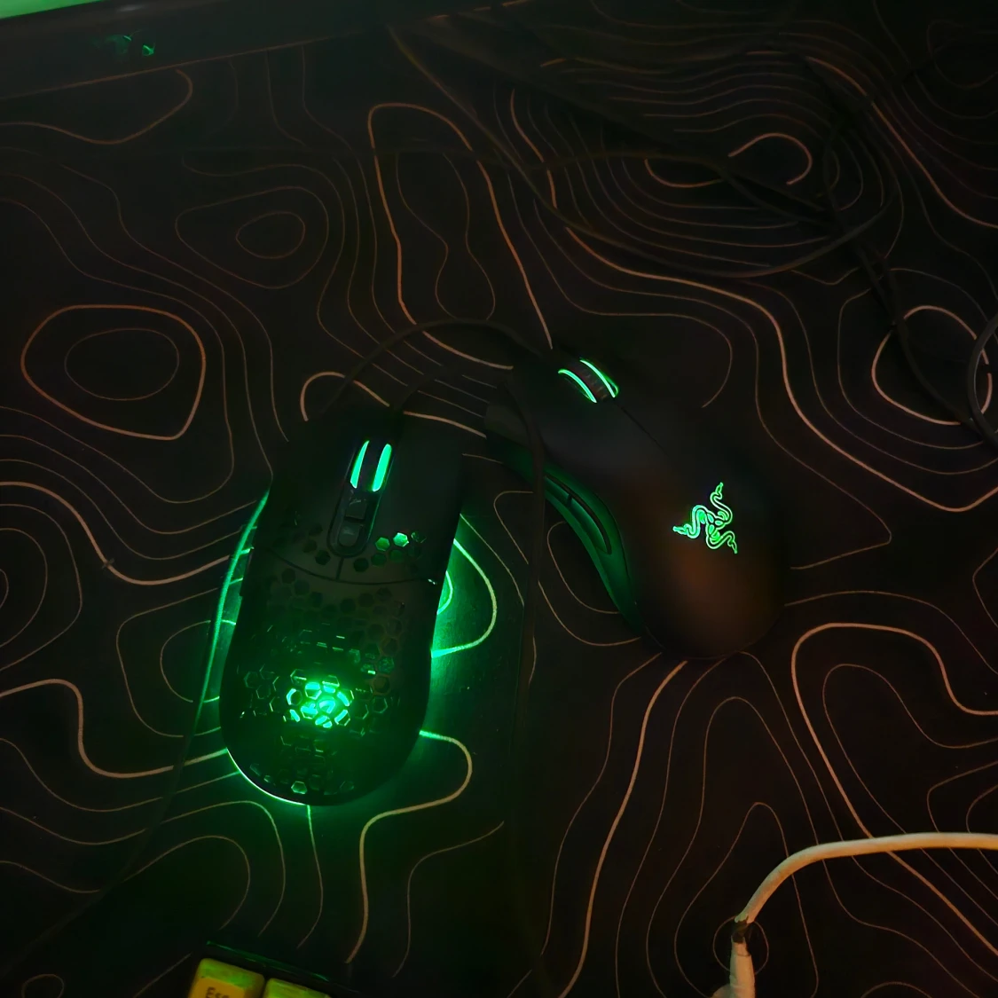 Razer Gaming Mouse