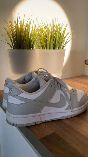 Nike Dunks - Gråa Nike Dunk