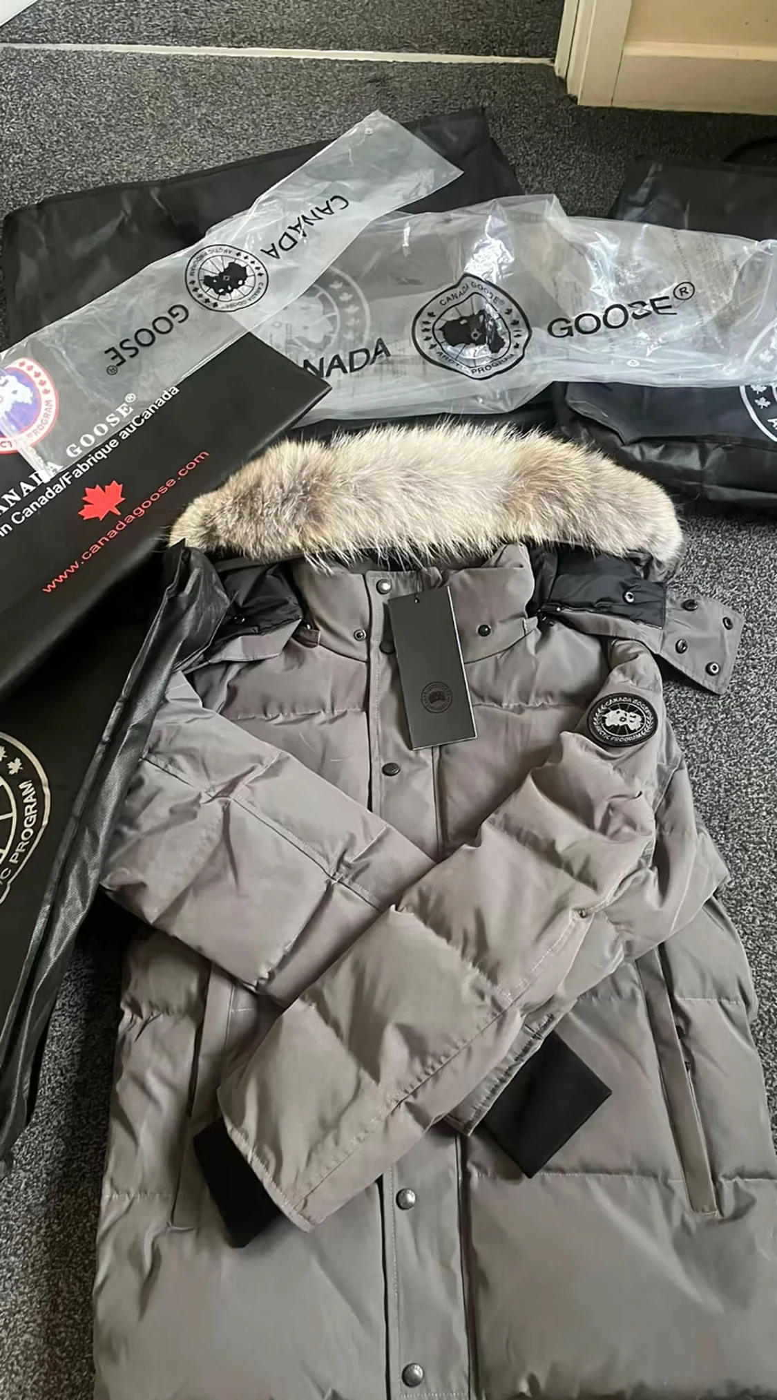 Grå dunjacka Canada Goose