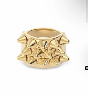 Guldig statementring från Edblad - Cool och chunky ring från Edblad i guldtonad metall med flera spetsiga nitar som ger en edgy vibe. Ringen är bred och har en unik design som verkligen sticker ut. Perfekt accessoar för dig som vill ha något annorlunda och vågat.