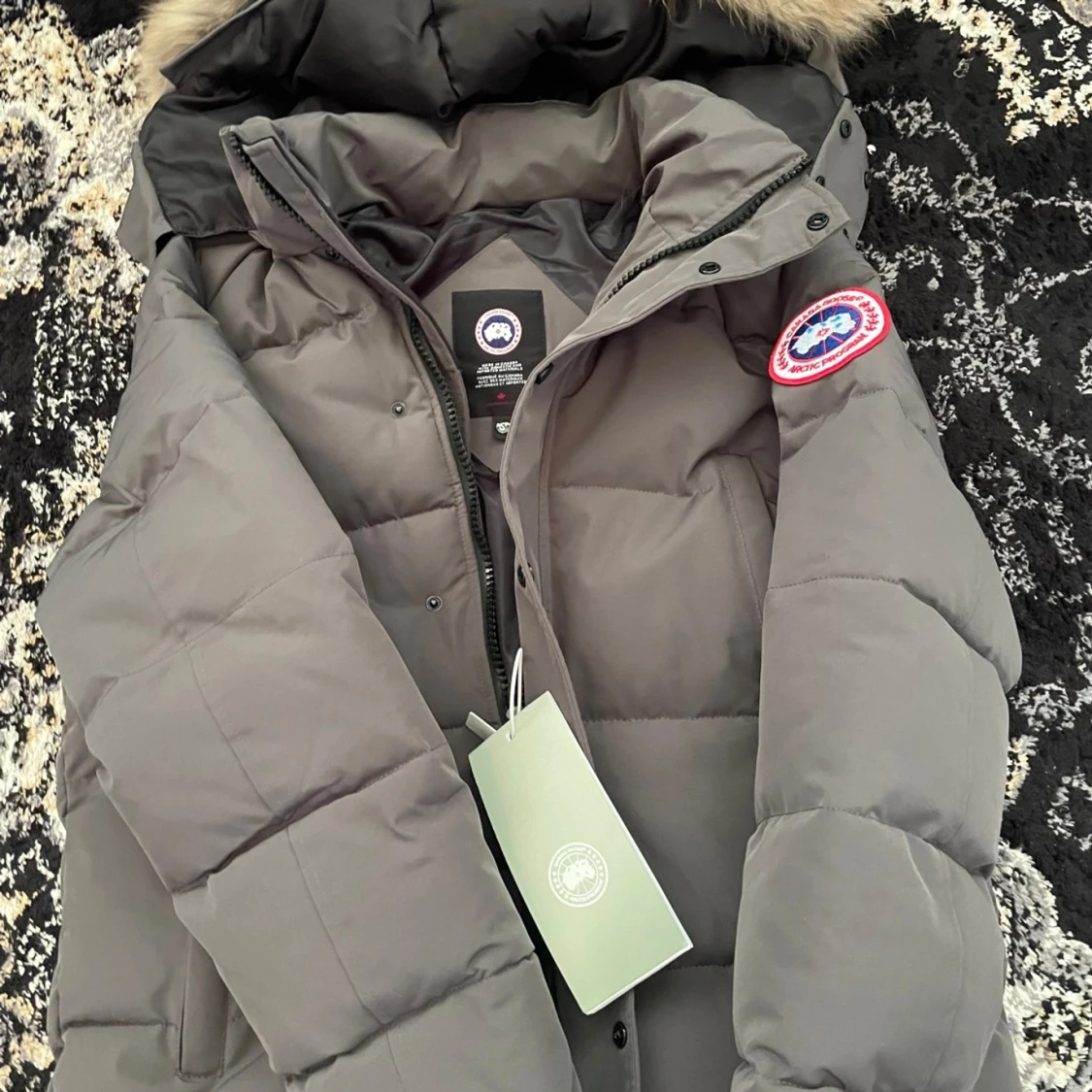 Canada Goose