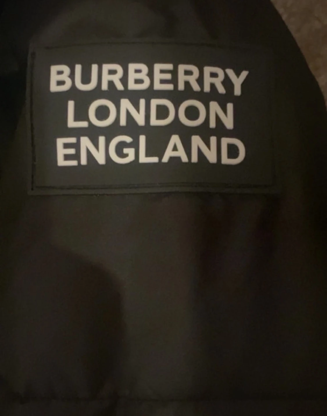 Svart dunjacka från Burberry - 3