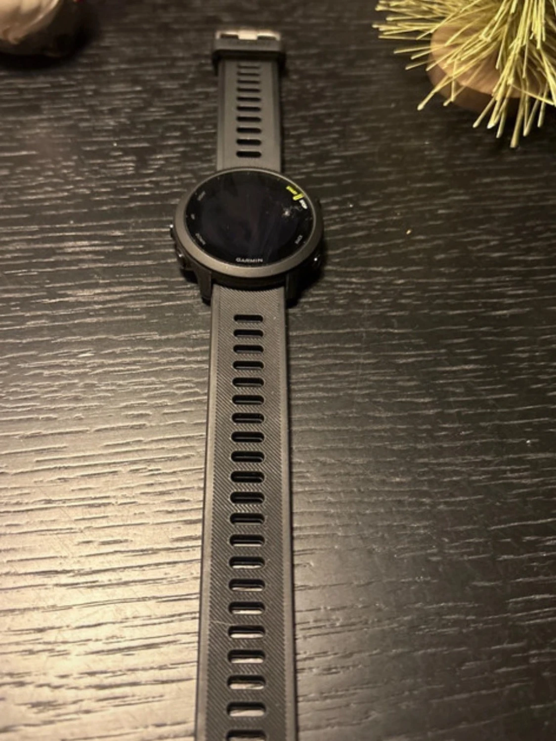 Garmin Forerunner 55 - 2