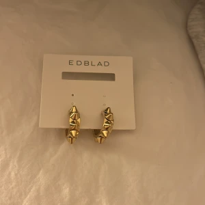 Edblad örhängen - Guldiga Edblad örhängen som är helt oanvända då jag inte använder guld!💞