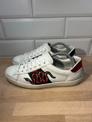 Gucci Ace Snake - Gucci Ace Snake i mycket bra skick🐍| Storlek: 44 passar 45 | Vid frågor eller diskussion om pris är det bara att skriva ✍🏼| Frakt inom 48h📦