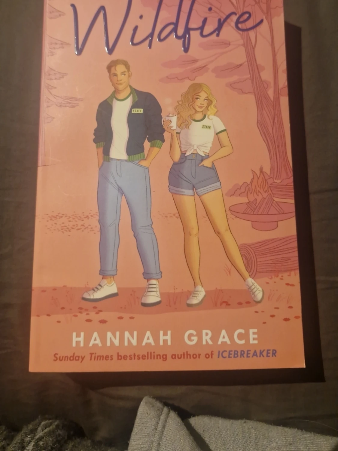 Icebreaker och Wildfire av hannah grace - 1