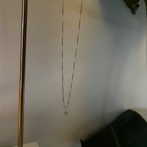 Silverhalsband med stjärntecken 🌟 - Stilrent silverhalsband med en tunn kedja från glitter🌟Stjärntecknet på halsbandet är fiskarna/pisces🌟