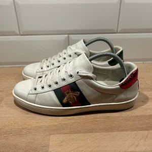 Gucci Ace - Gucci Ace i mycket bra skick🐝| Storlek: 43 kan passa 44 | Vid frågor eller diskussion om pris är det bara att skriva ✍🏼 | Frakt inom 48h📦