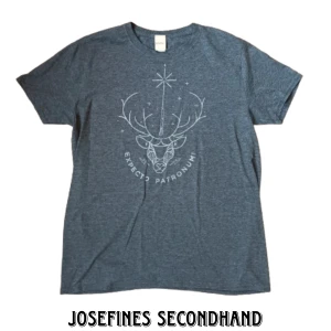 Grå Harry Potter tröja med silver tryck - Grå tröja med silvrigt Harry Potter tryck. Trycket föreställer Harry patronus och text, trycket är reflektivt